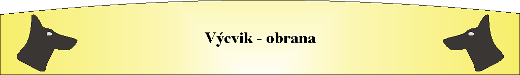 V�cvik - obrana