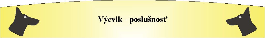 V�cvik - poslu�nos�
