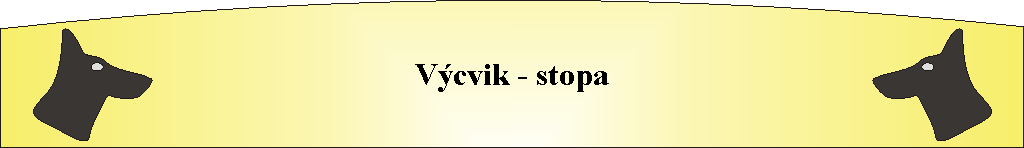 V�cvik - stopa
